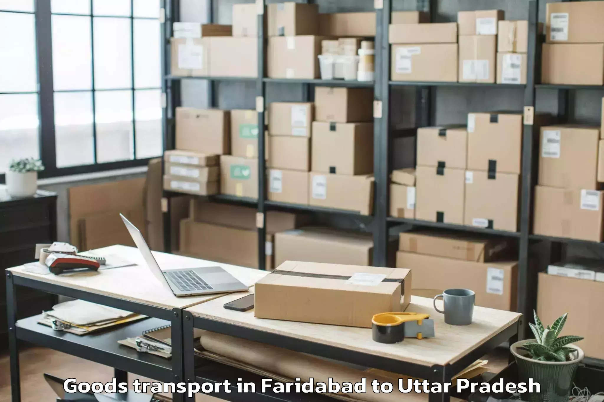 Trusted Faridabad to Bewar Goods Transport